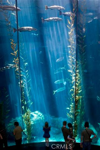 800 E Ocean Boulevard 1505, Long Beach, CA 90802