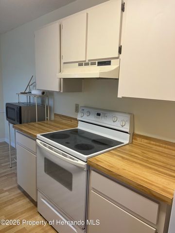 7686 St Andrews Boulevard, Weeki Wachee, FL 34613
