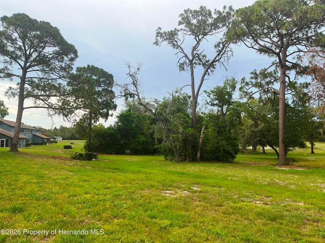 7686 St Andrews Boulevard, Weeki Wachee, FL 34613