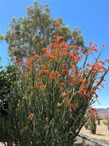 14105 S Cactus Road, Yucca, AZ 86438