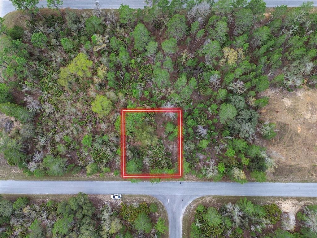 TBD MALAUKA LANE, Ocklawaha, FL 32179