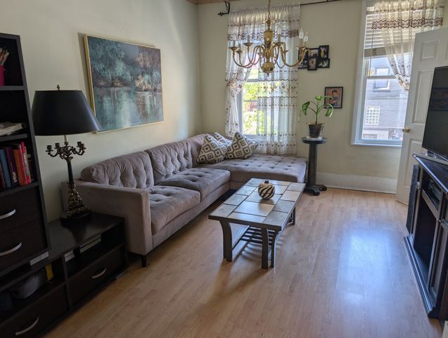 3233 S Morgan Street, Chicago, IL 60608