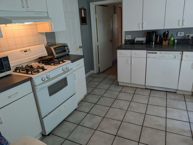 3233 S Morgan Street, Chicago, IL 60608