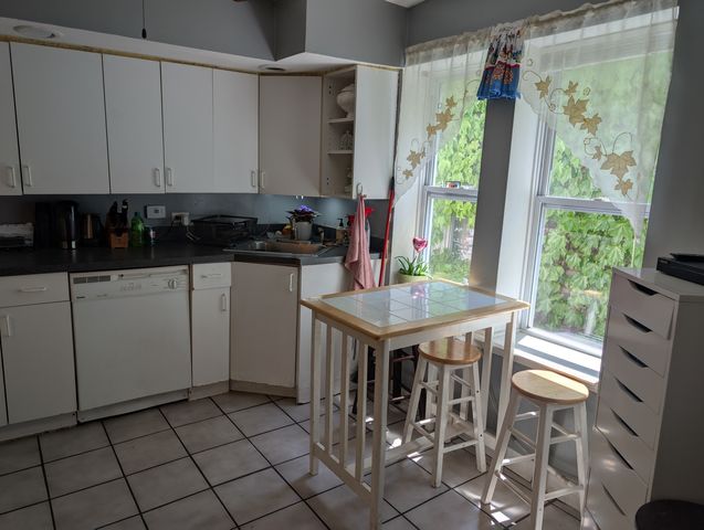 3233 S Morgan Street, Chicago, IL 60608