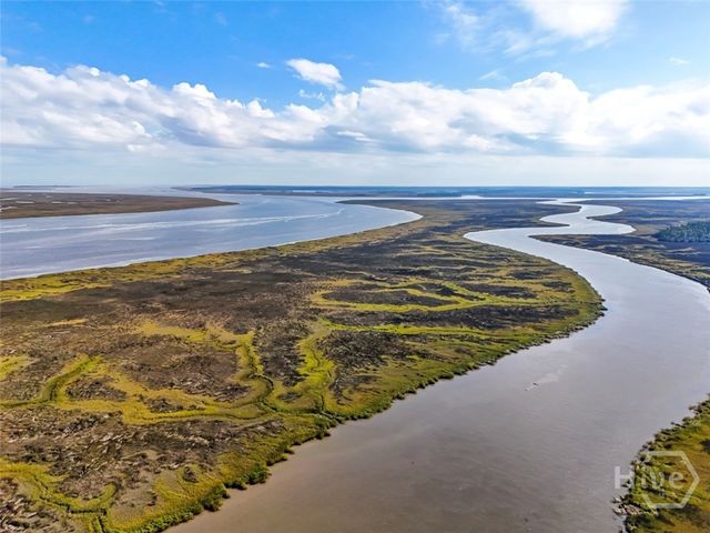 437 Bear River Drive, Richmond Hill, GA 31324