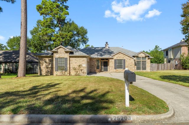 25203 Butterwick Drive, Spring, TX 77389