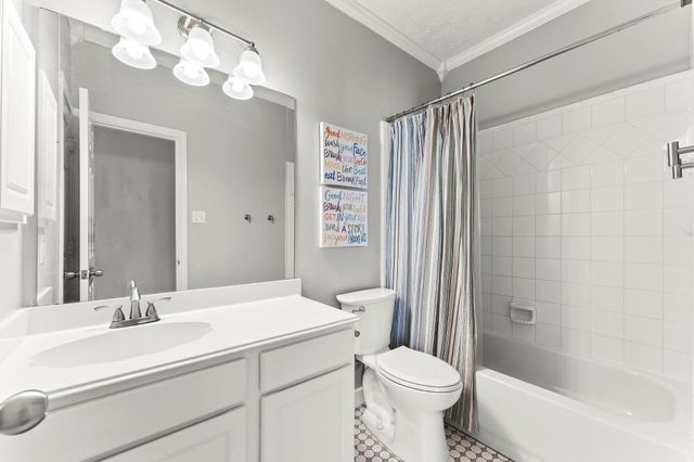 25203 Butterwick Drive, Spring, TX 77389