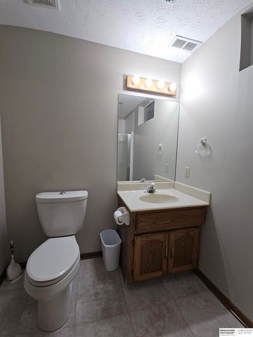 521 Vine Street, Louisville, NE 68037