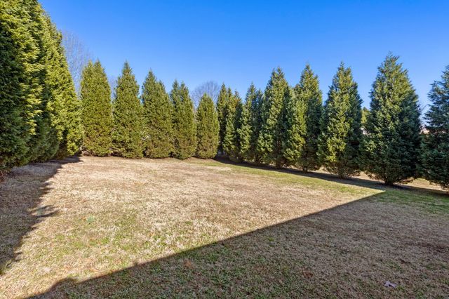 155 Dogwood Ln # 5r, Spring City, TN 37381