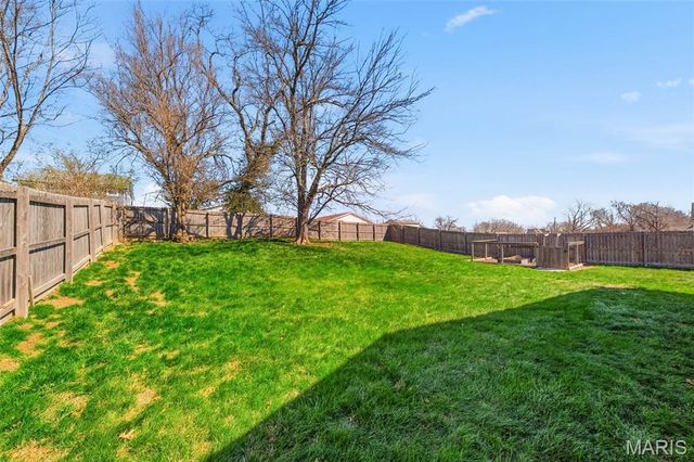 115 Almentor Avenue, St Louis, MO 63119