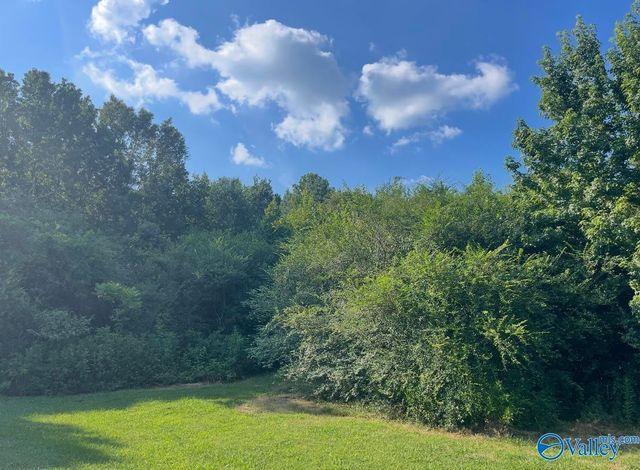 25 acres Meltonsville Road, Guntersville, AL 35976