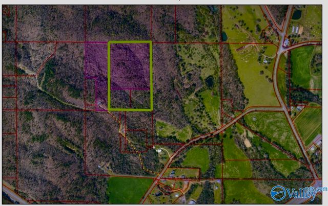 25 acres Meltonsville Road, Guntersville, AL 35976