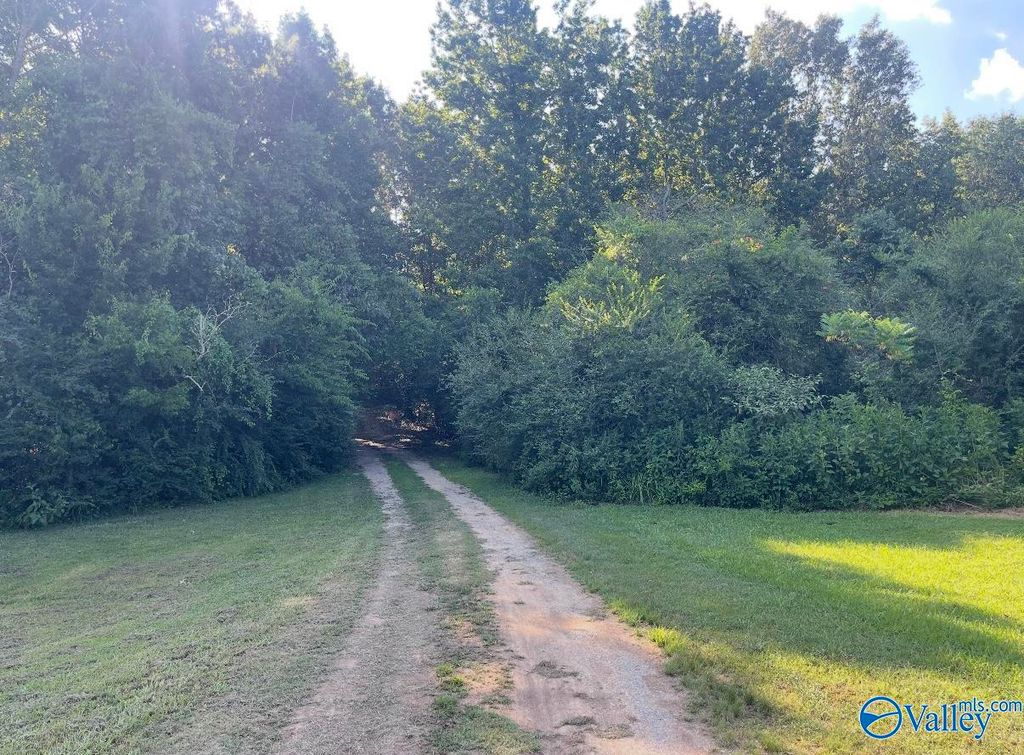25 acres Meltonsville Road, Guntersville, AL 35976