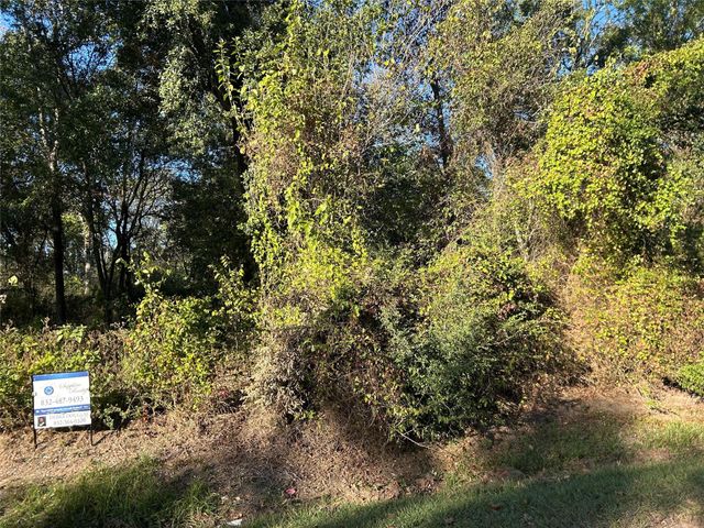 402 Wells Street, Spring, TX 77373