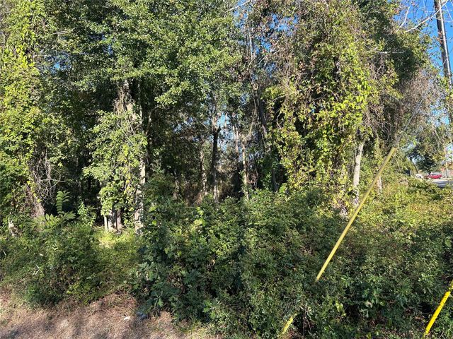 402 Wells Street, Spring, TX 77373