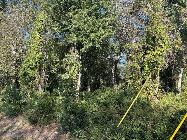 402 Wells Street, Spring, TX 77373