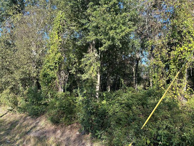 402 Wells Street, Spring, TX 77373