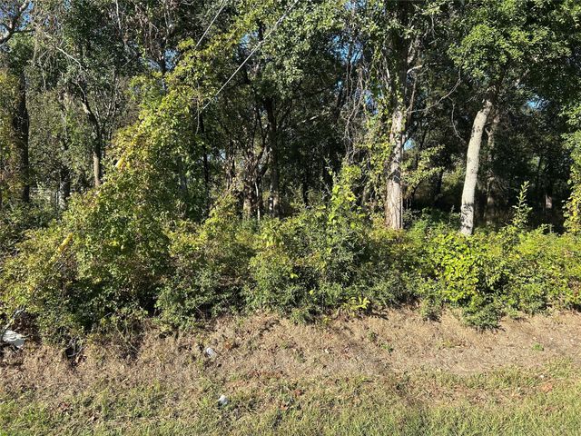 402 Wells Street, Spring, TX 77373