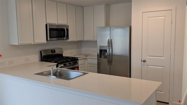 6051 Ash Willow Court, Montgomery, TX 77316