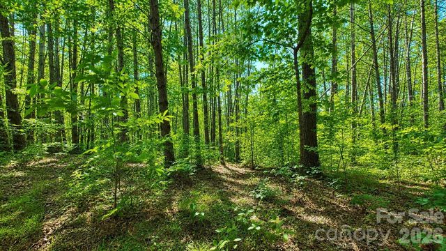 CB17 Emerald Court CB17, Lenoir, NC 28634