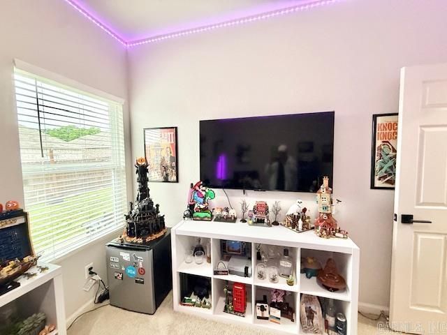 2095 Matthews Meadow Lane, Conway, AR 72032