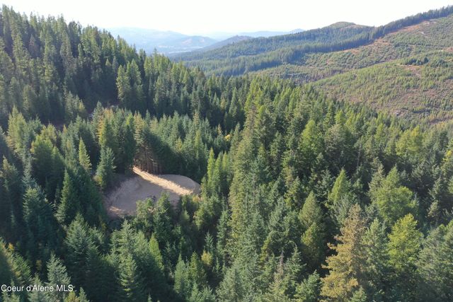 1802 Alpine DR, Fernwood, ID 83830 property photo