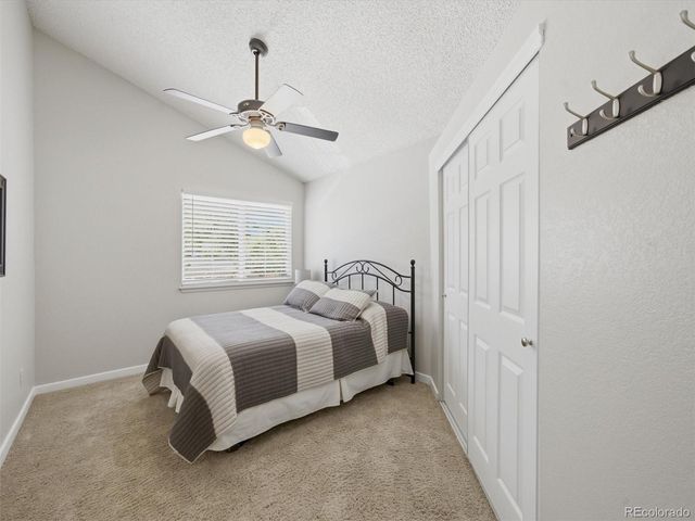 7977 W Morraine Drive, Littleton, CO 80128