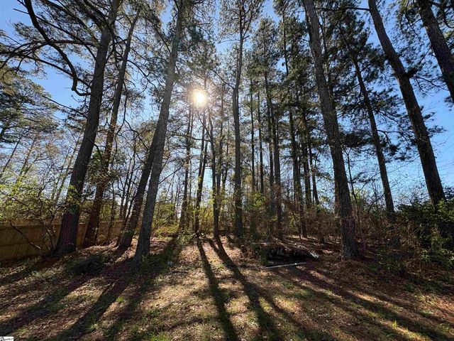 1505 Fork Shoals Road, Greenville, SC 29605