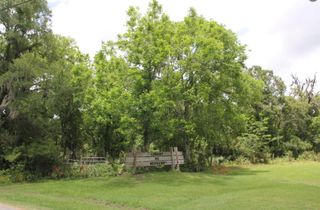 0 TBD Cr 825e Street, West Columbia, TX 77486