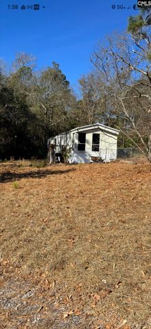 3405 Emanuel Church Road, Lexington, SC 29073