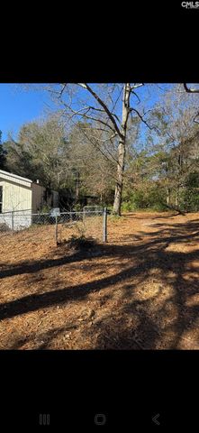 3405 Emanuel Church Road, Lexington, SC 29073