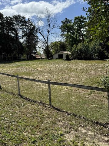 3405 Emanuel Church Road, Lexington, SC 29073