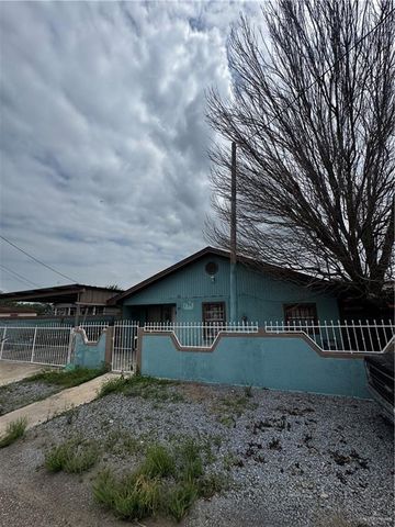 195 Naranjo Avenue, Roma, TX 78584