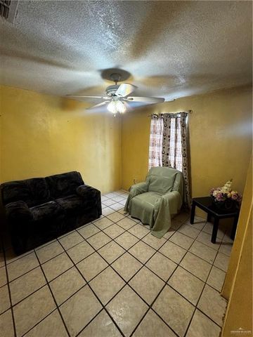 195 Naranjo Avenue, Roma, TX 78584