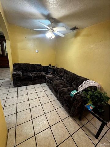 195 Naranjo Avenue, Roma, TX 78584