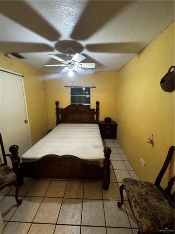 195 Naranjo Avenue, Roma, TX 78584
