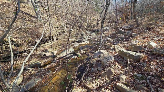 510 Good Spur Road, Shirley, AR 72153