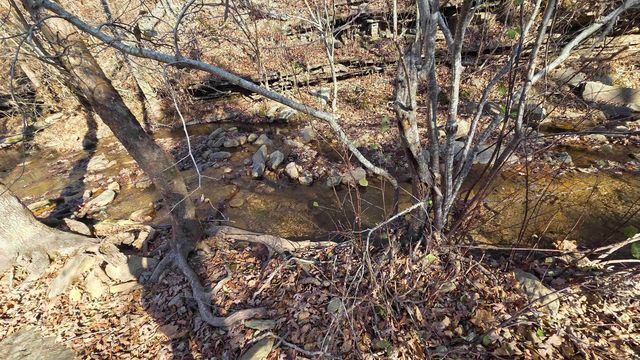 510 Good Spur Road, Shirley, AR 72153