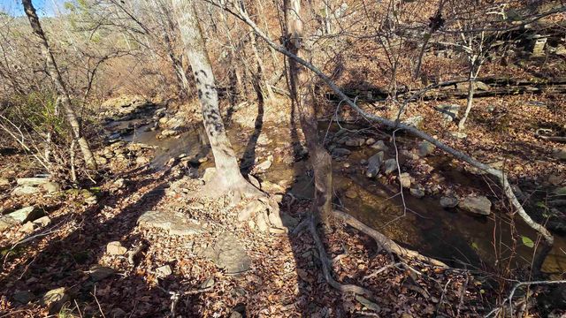 510 Good Spur Road, Shirley, AR 72153