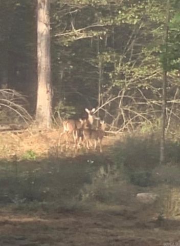 510 Good Spur Road, Shirley, AR 72153