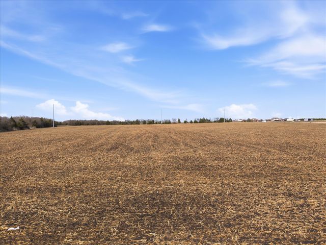 TBD County Road 643, Nevada, TX 75173