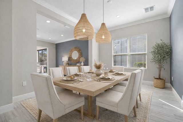 30578 CEASAR PARK DRIVE, Wesley Chapel, FL 33543