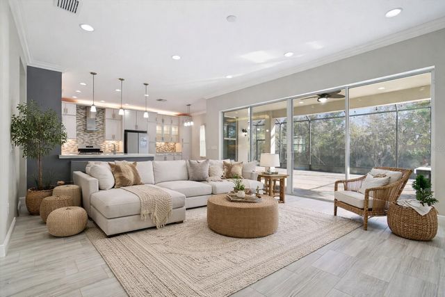 30578 CEASAR PARK DRIVE, Wesley Chapel, FL 33543