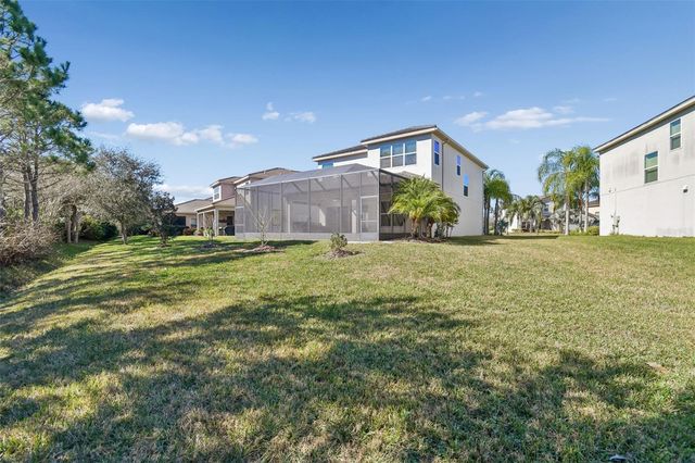 30578 CEASAR PARK DRIVE, Wesley Chapel, FL 33543