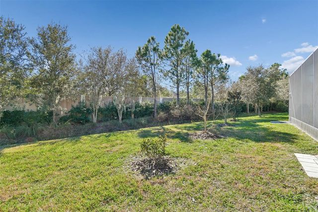 30578 CEASAR PARK DRIVE, Wesley Chapel, FL 33543