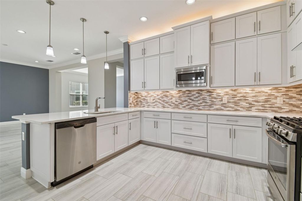 Image 24 of property listing at 30578 CEASAR PARK DRIVE, Wesley Chapel, FL 33543