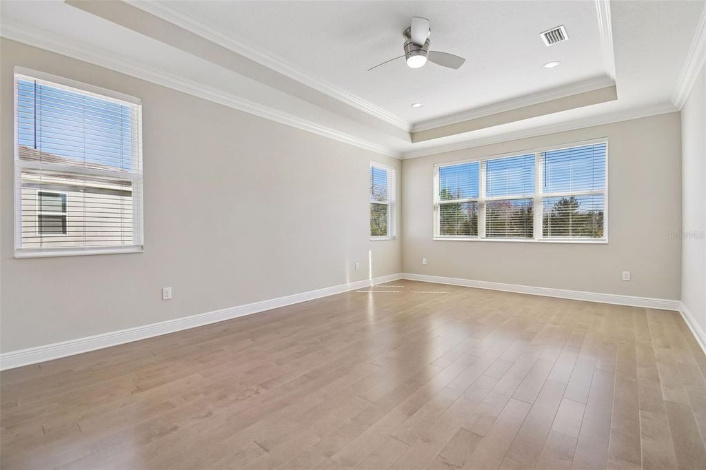 Image 33 of property listing at 30578 CEASAR PARK DRIVE, Wesley Chapel, FL 33543