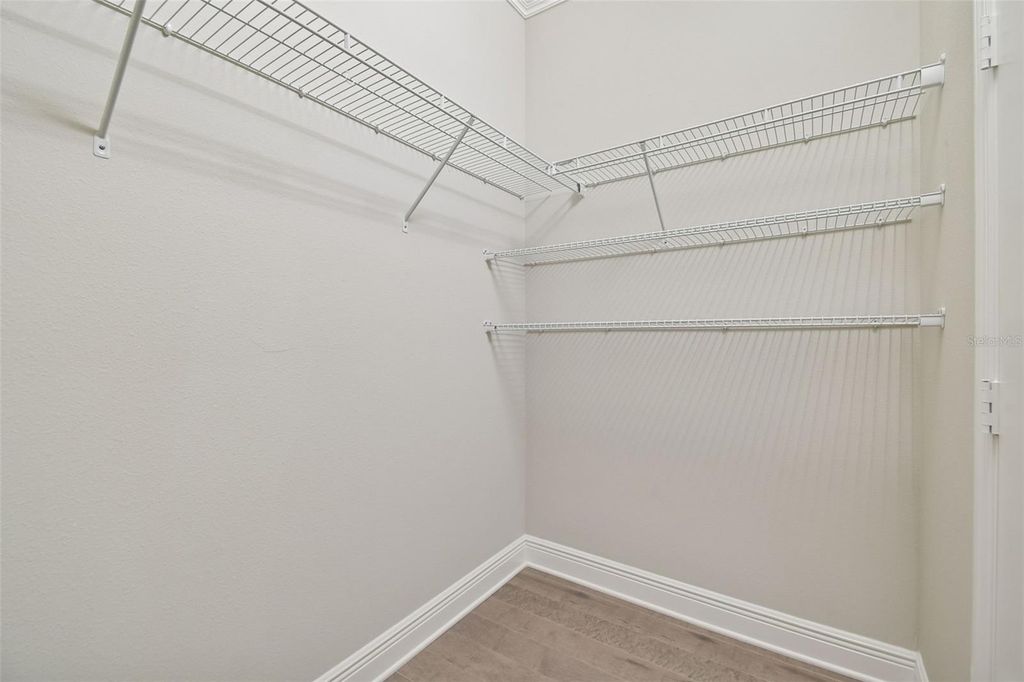 Image 36 of property listing at 30578 CEASAR PARK DRIVE, Wesley Chapel, FL 33543