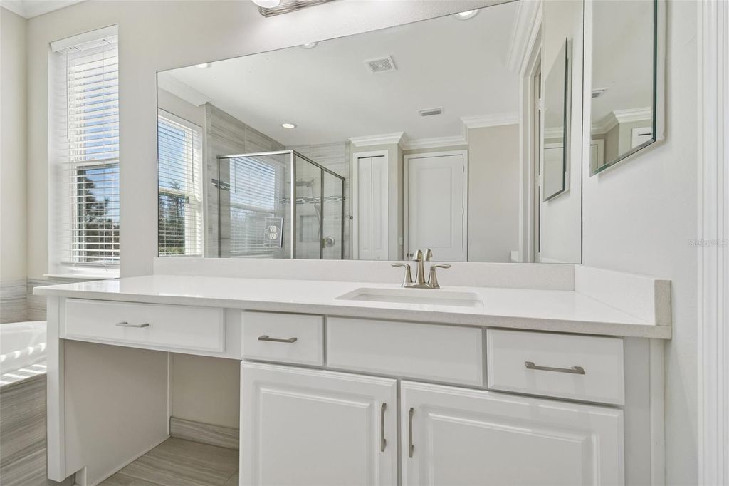 Image 38 of property listing at 30578 CEASAR PARK DRIVE, Wesley Chapel, FL 33543