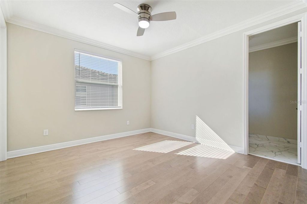 Image 44 of property listing at 30578 CEASAR PARK DRIVE, Wesley Chapel, FL 33543